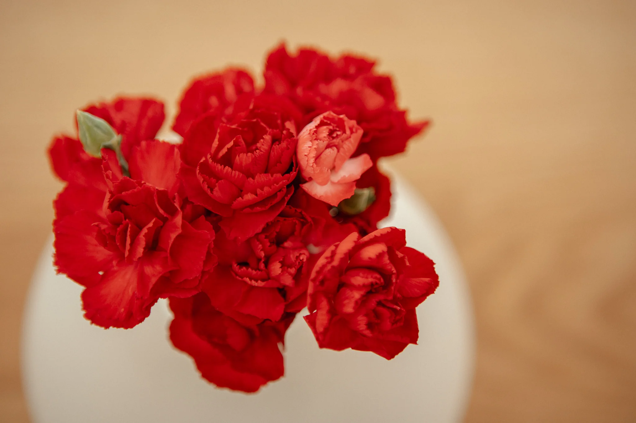 Slow and Steady Living