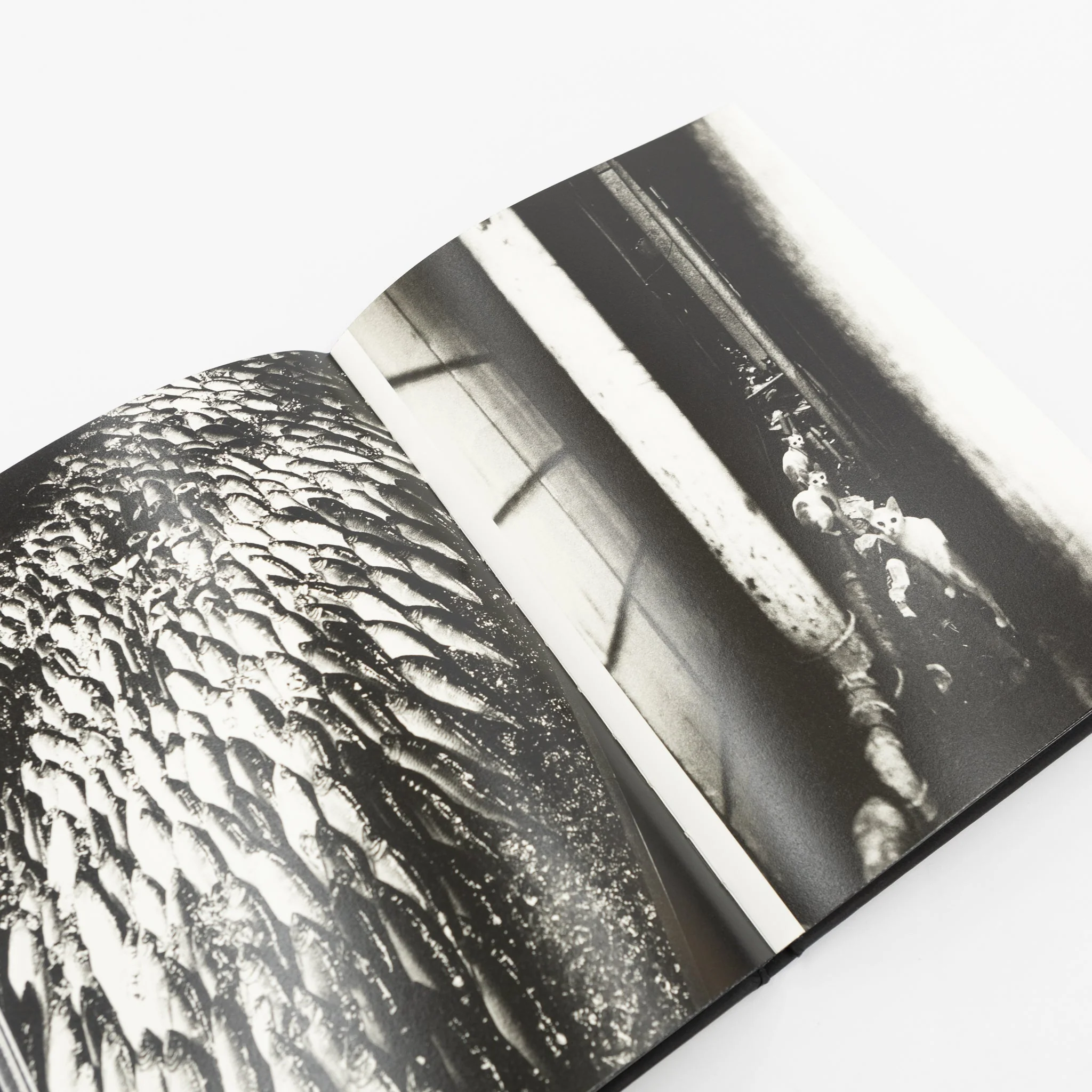 AVO TAVITIAN & DAIDO MORIYAMA | Los Angeles x Shinjuku - Image 2