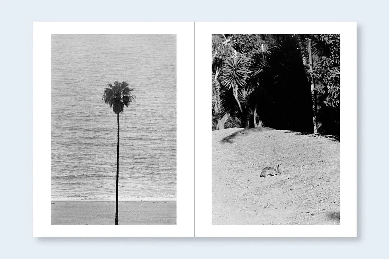 AVO TAVITIAN & DAIDO MORIYAMA | Los Angeles x Shinjuku - Image 4