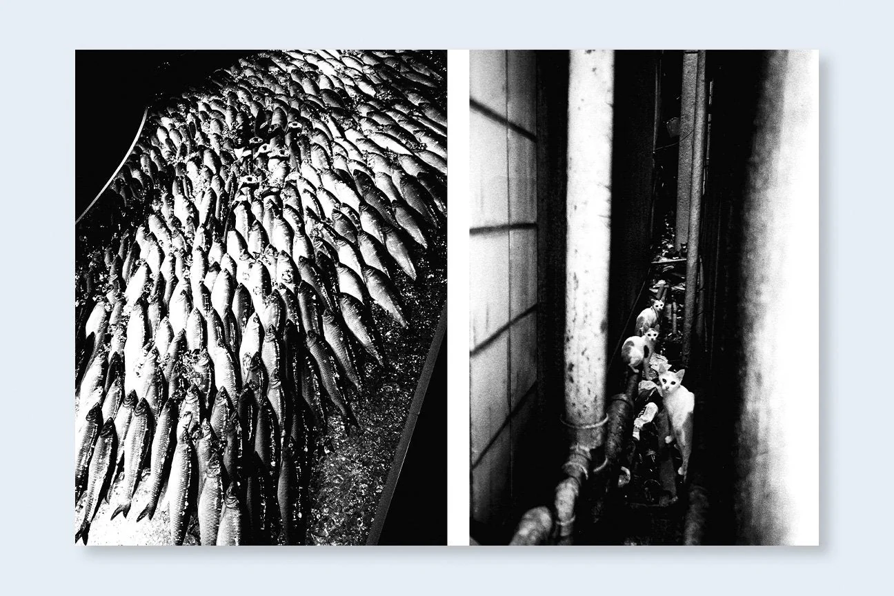 AVO TAVITIAN & DAIDO MORIYAMA | Los Angeles x Shinjuku - Image 7