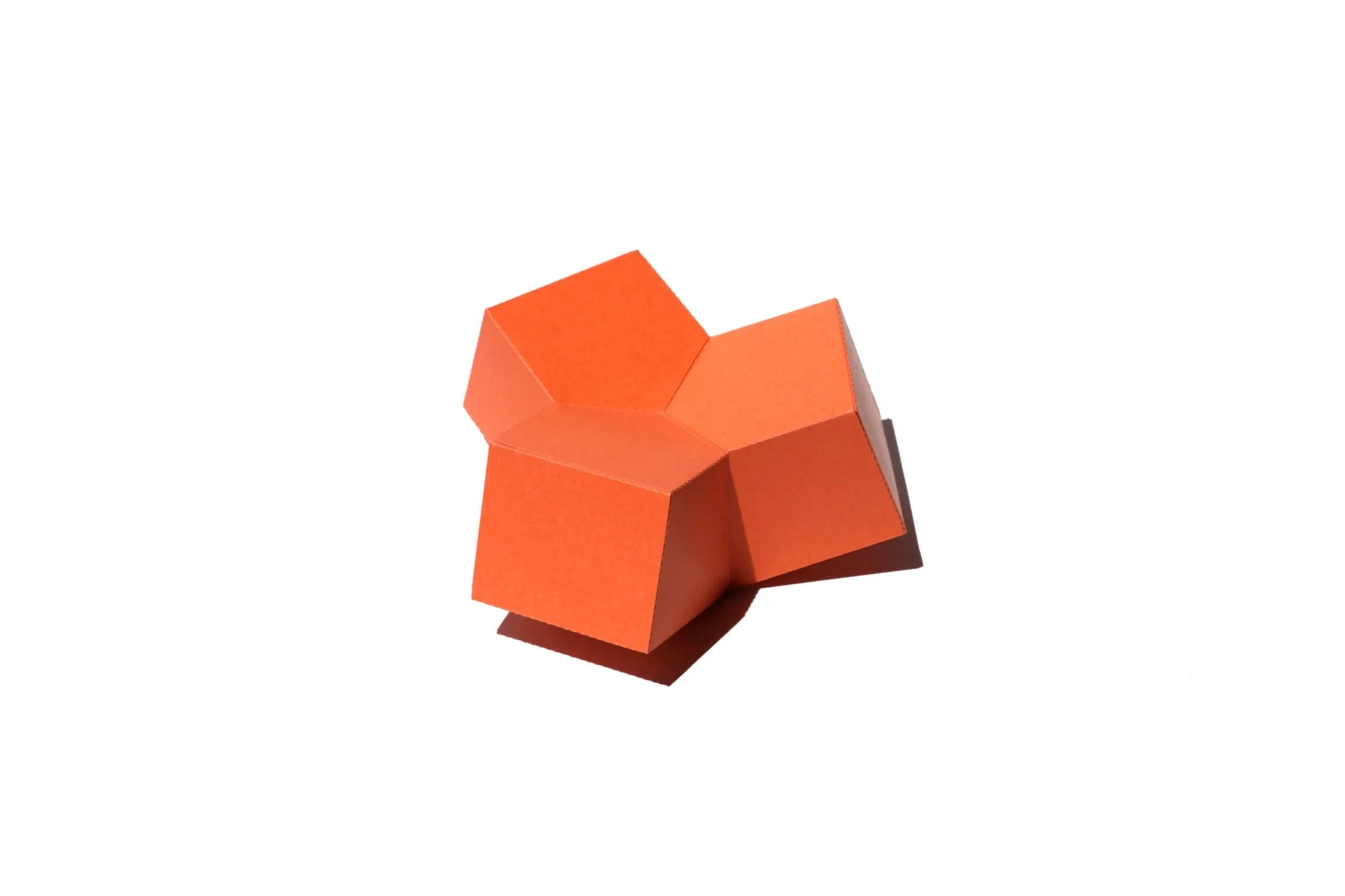 COLOR - 3D Paper Craft - Image 8