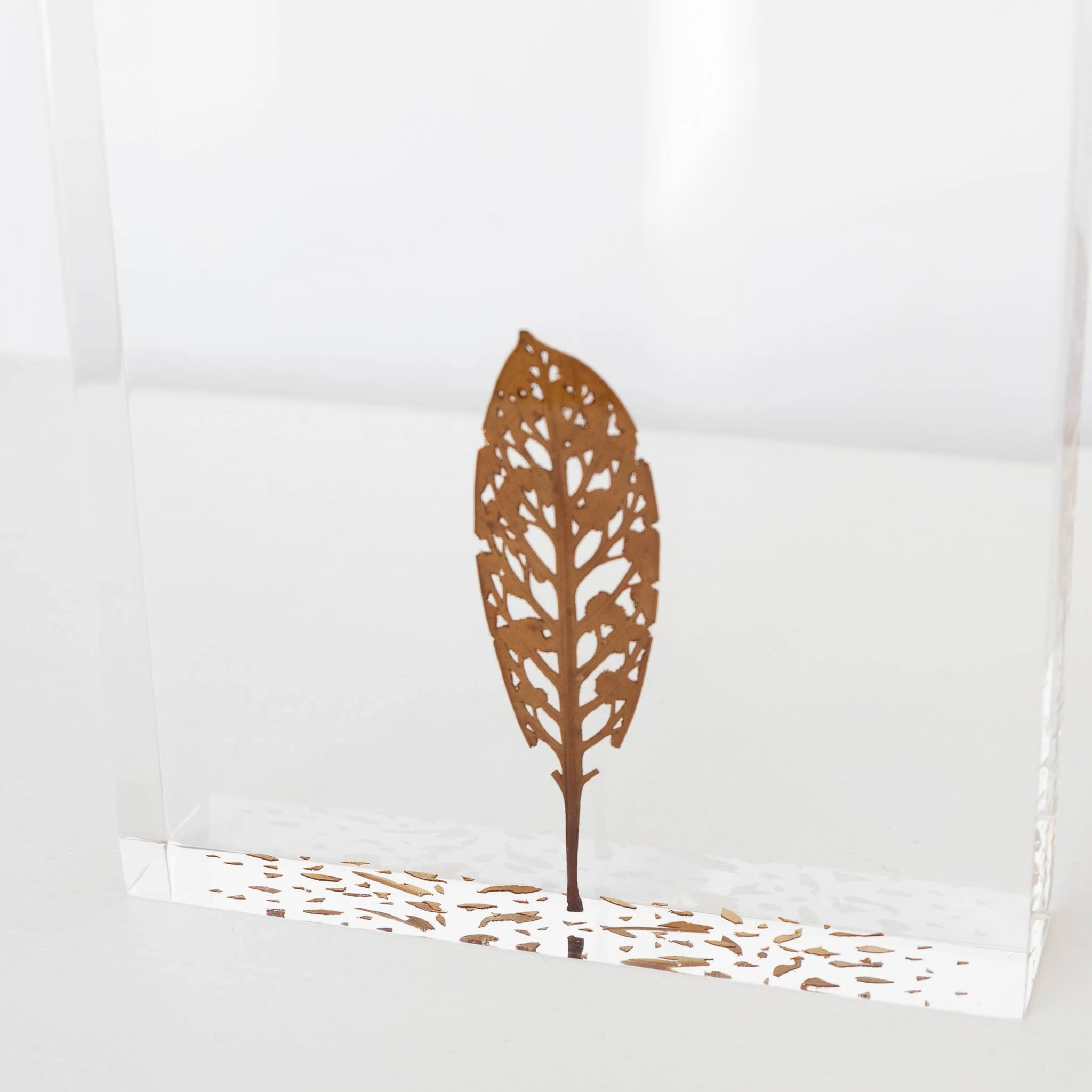 #59 - Fallen Leaves #3 (All Around You, 2024) by Mitsuru Koga - Image 2
