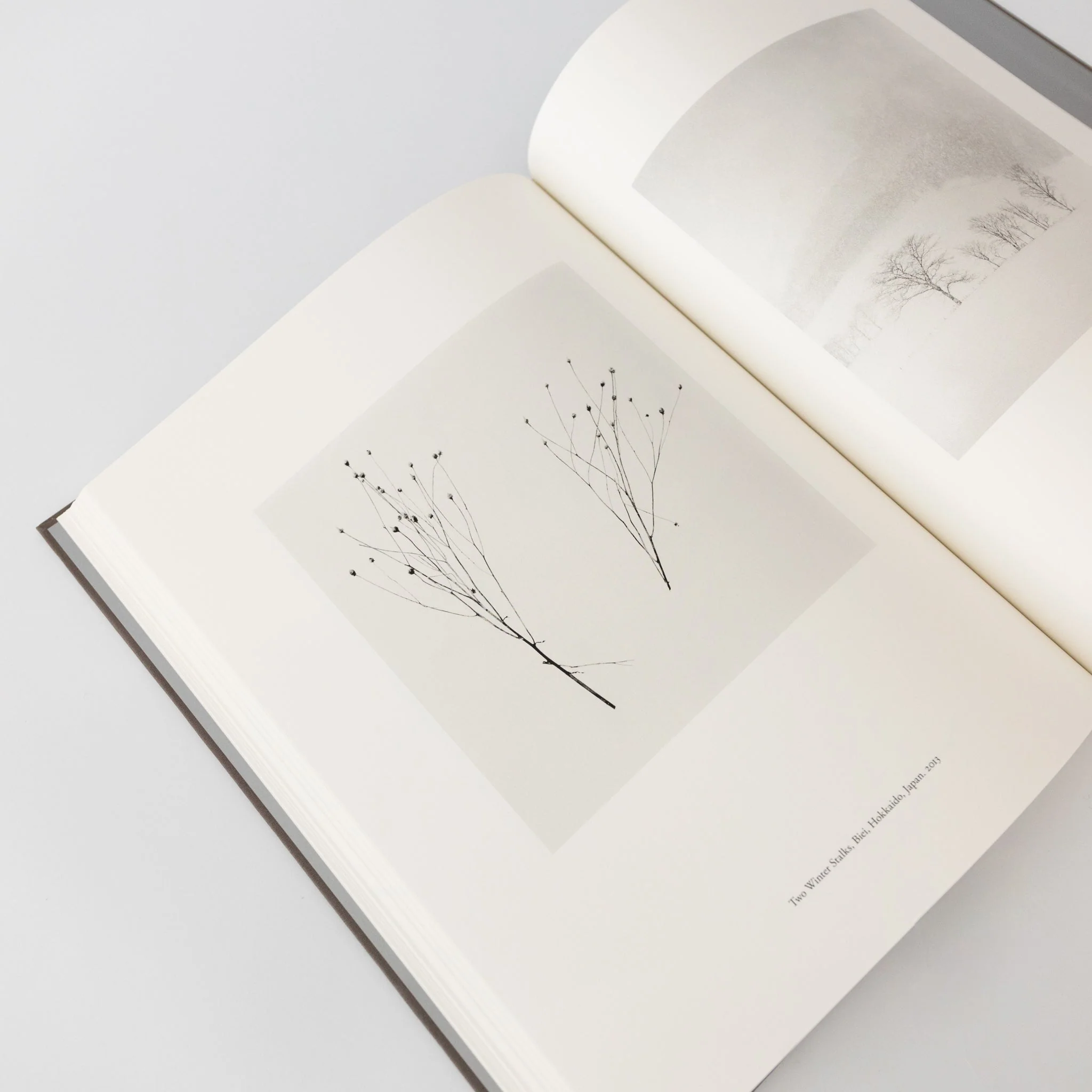 Japan / A Love Story by Michael Kenna - Image 2