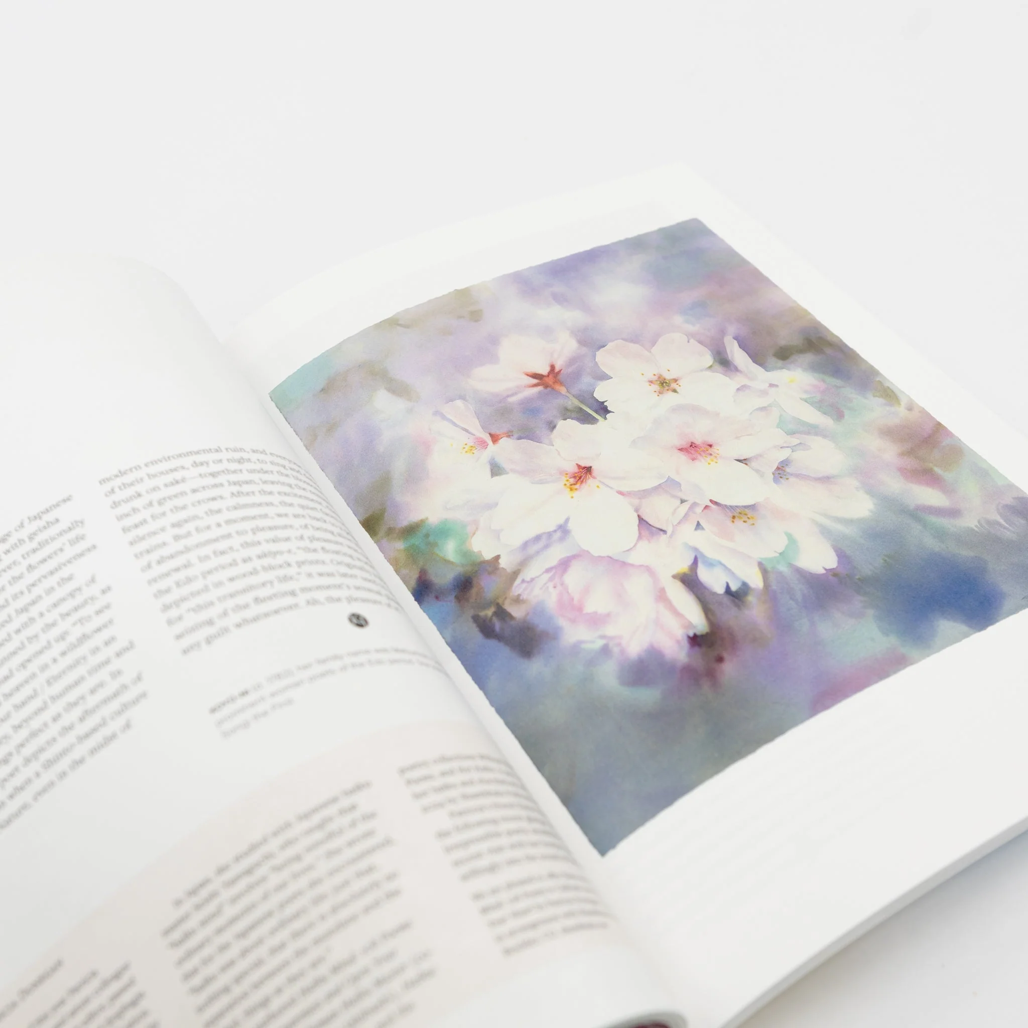 Kyoto Journal 104: Flora & Kyoto - Image 2