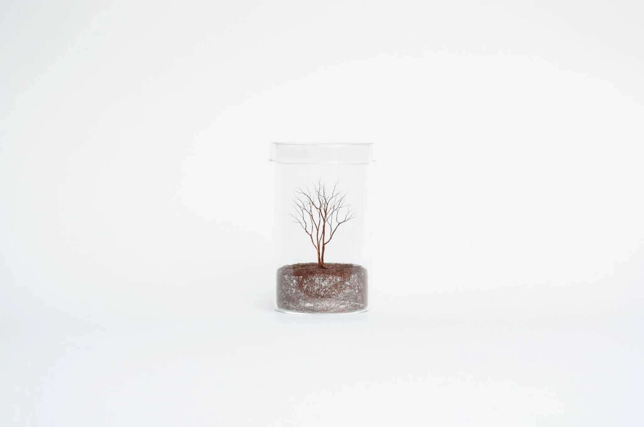 Mitsuru Koga Copper Wire Trees - Image 3