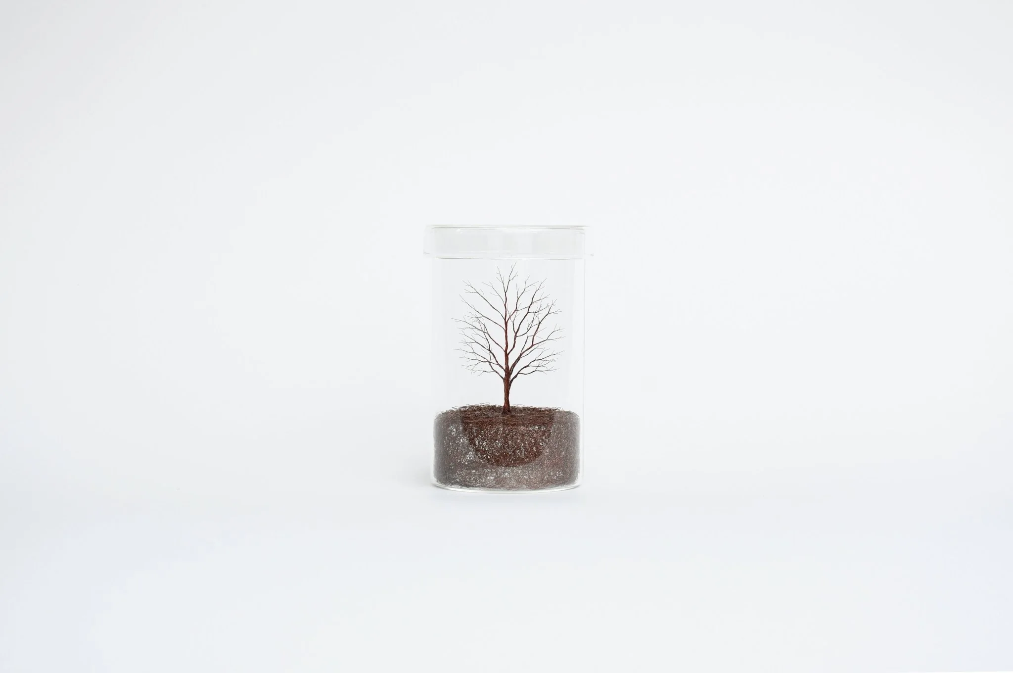 Mitsuru Koga Copper Wire Trees - Image 5