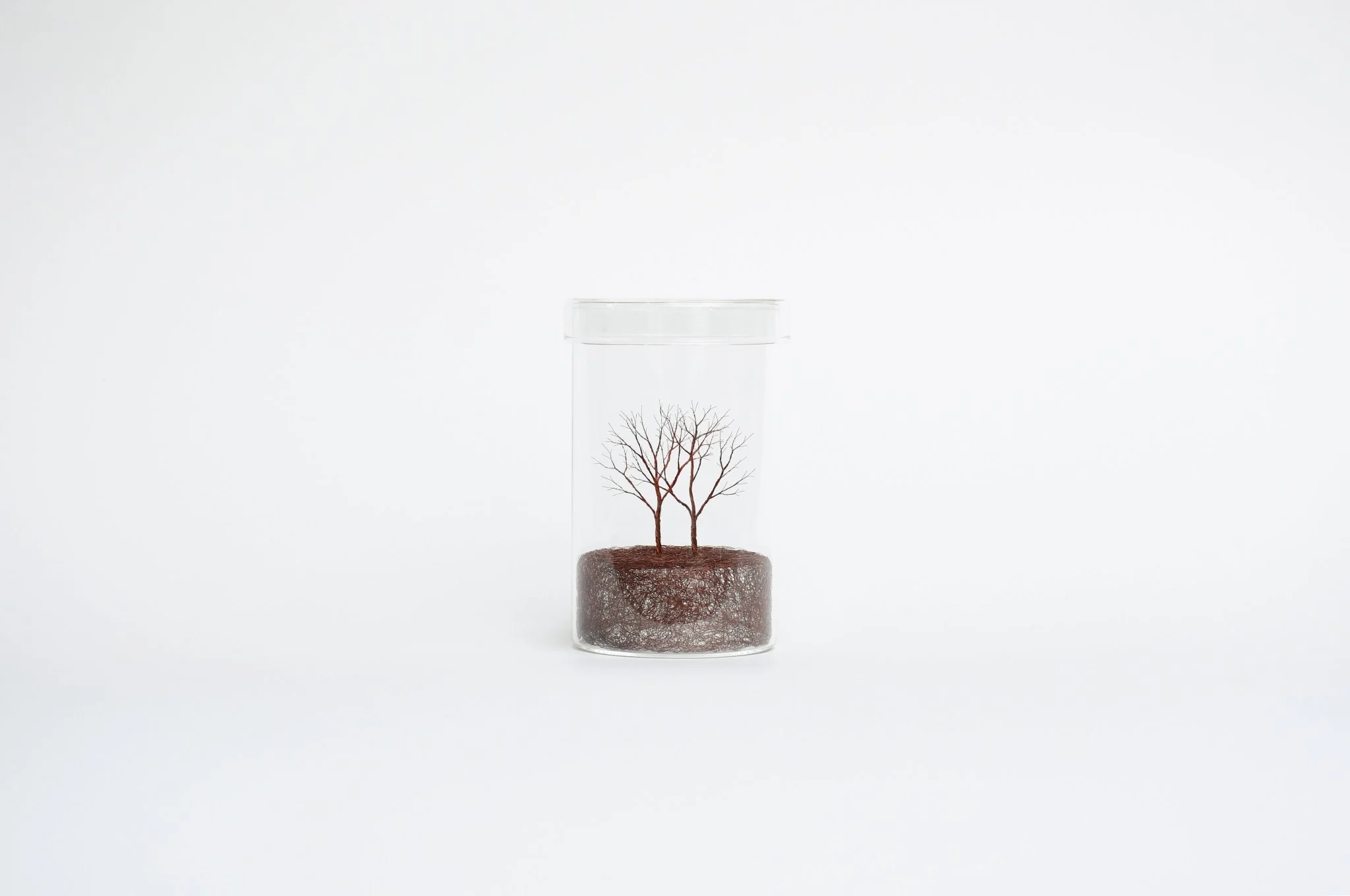Mitsuru Koga Copper Wire Trees - Image 6