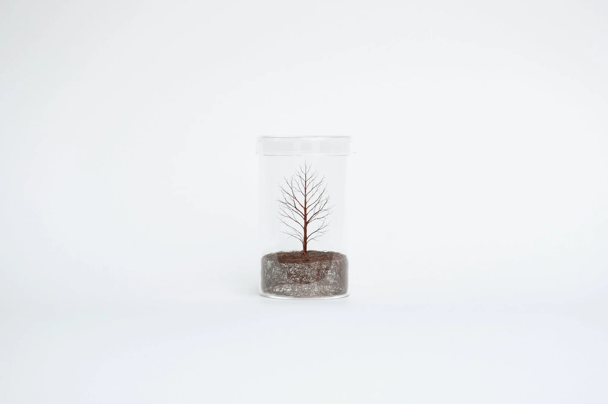 Mitsuru Koga Copper Wire Trees - Image 7