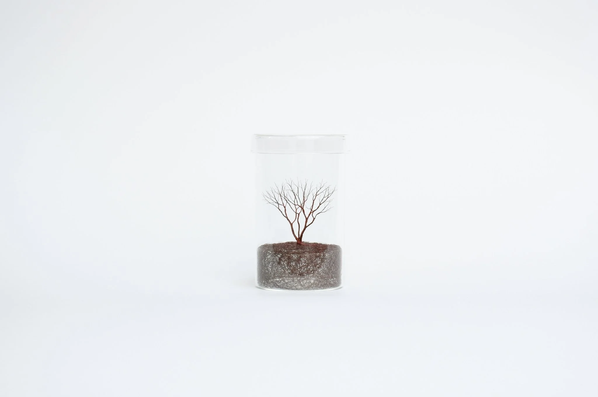Mitsuru Koga Copper Wire Trees - Image 8