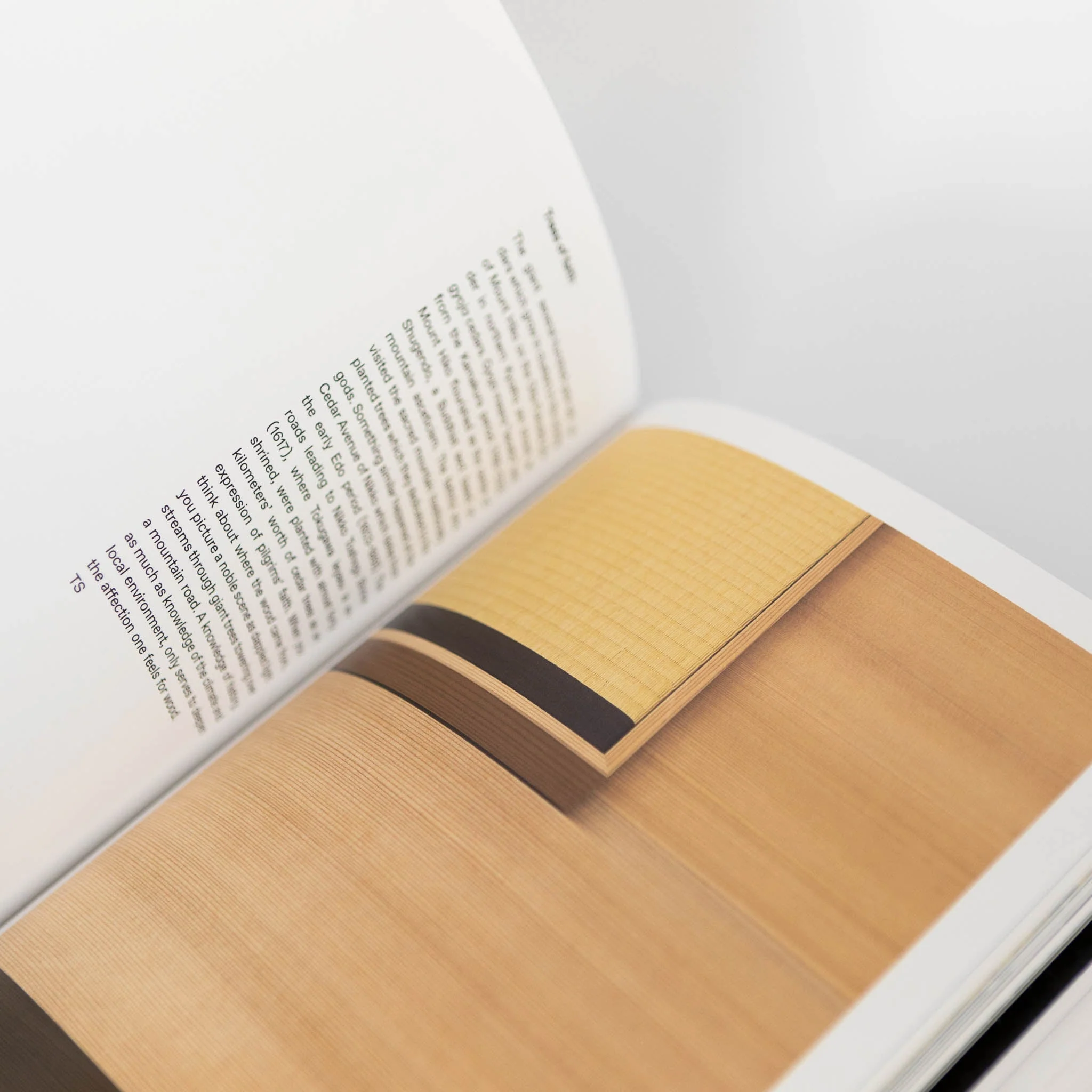 'Old Is New' by Hiroshi Sugimoto & Tomoyuki Sakakida - Image 3