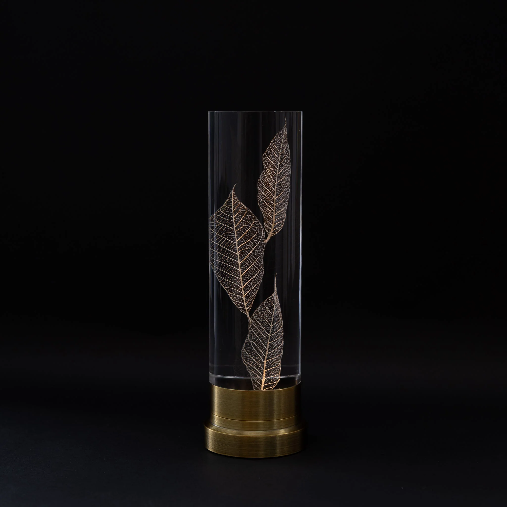 Sola Lume - Image 11