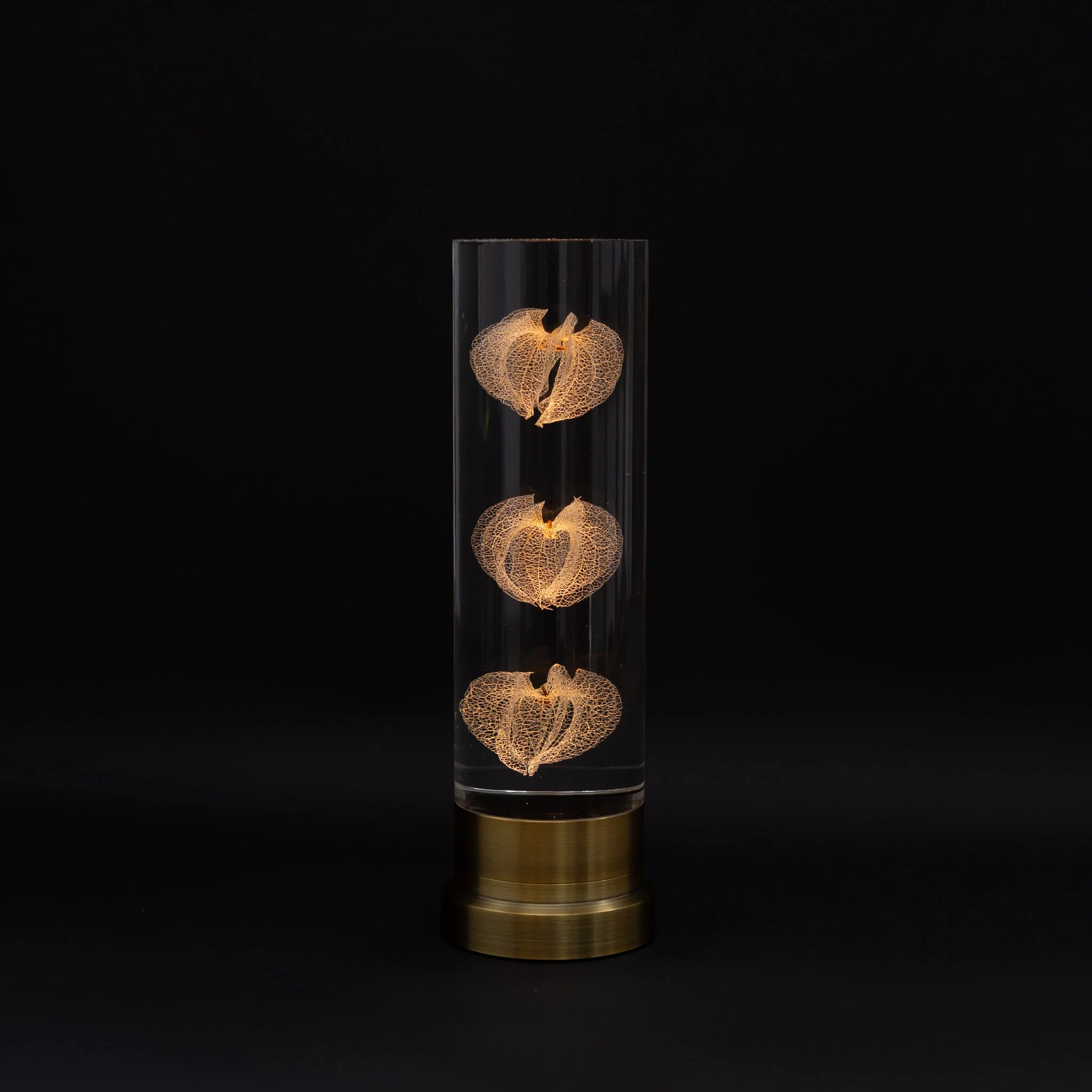 Sola Lume - Image 4