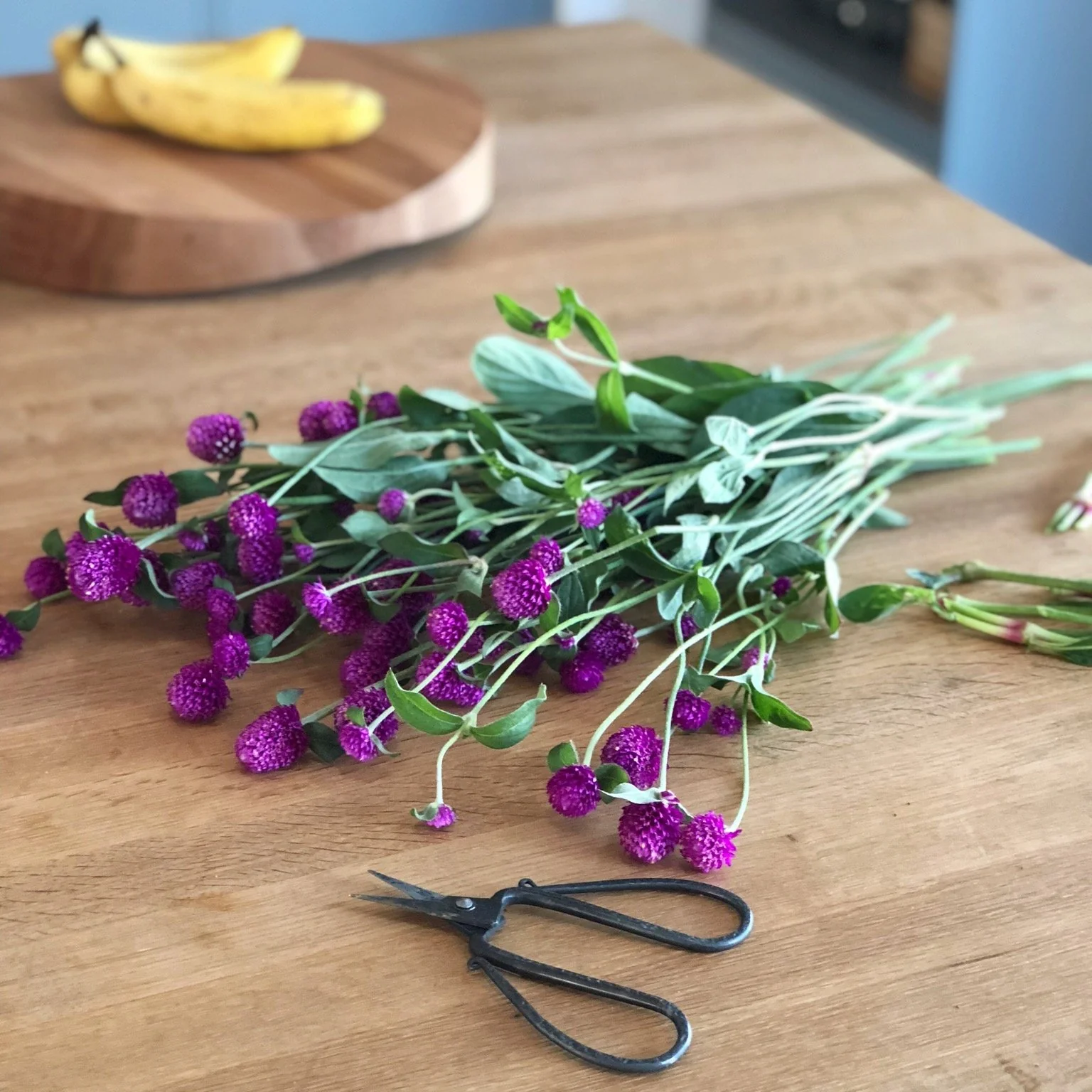 Tajika Flower Scissors - Image 4