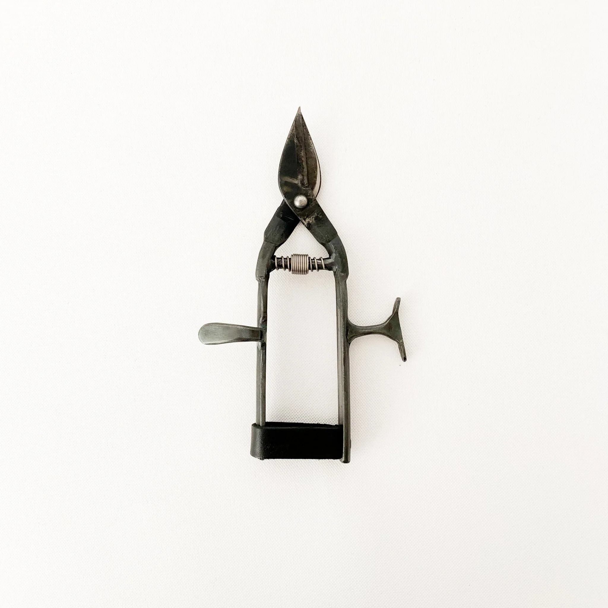 Tajika Garden Scissors - Image 4