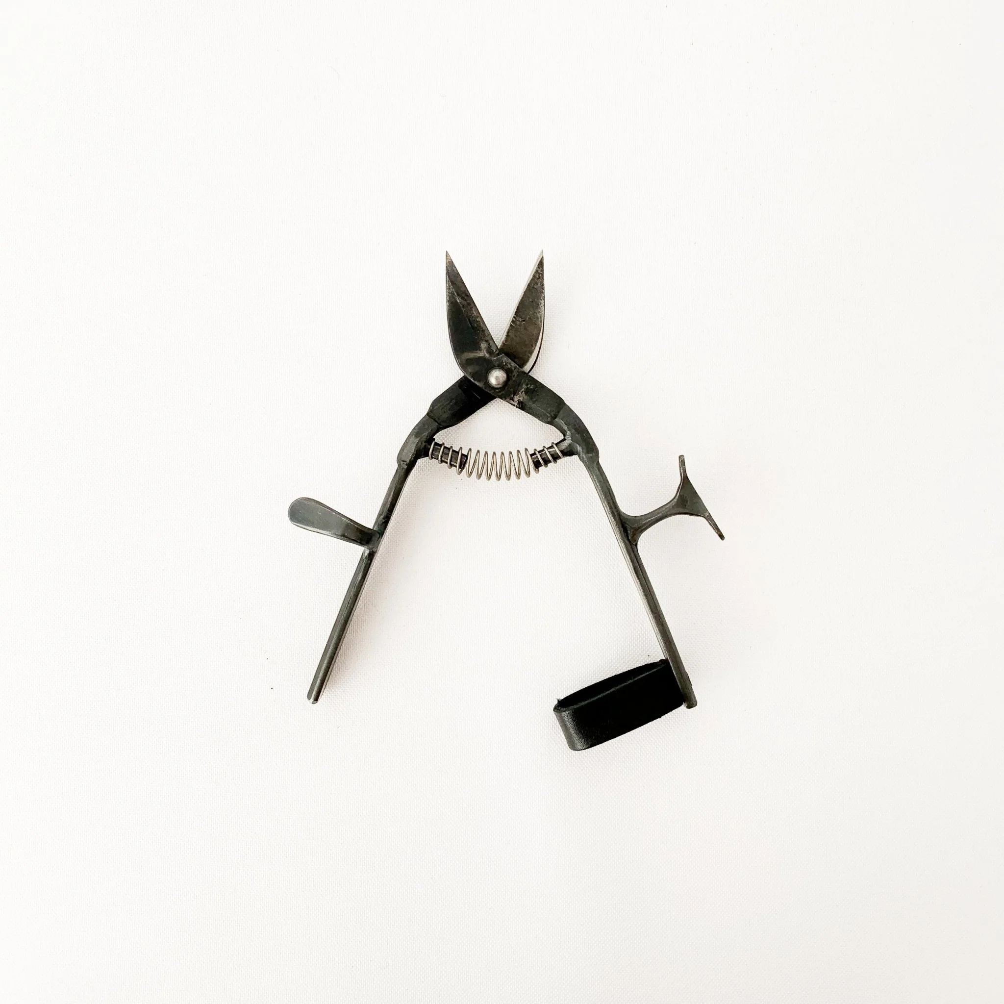 Tajika Garden Scissors - Image 5