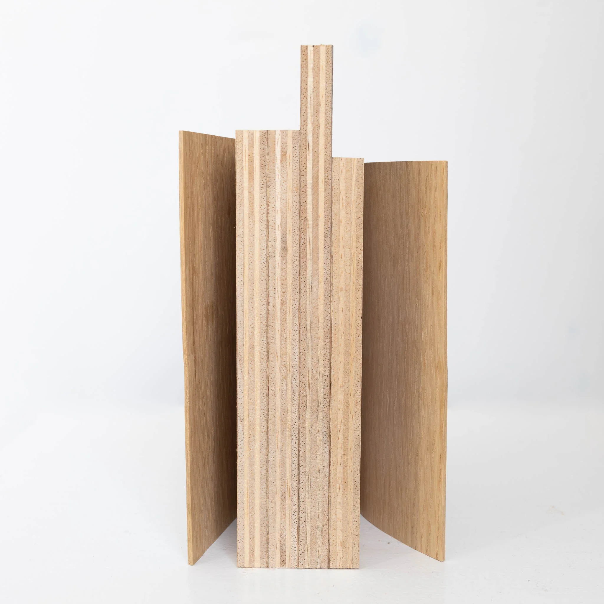 #43 - Wooden Books #2 (All Around You, 2024) by Mitsuru Koga - Image 2