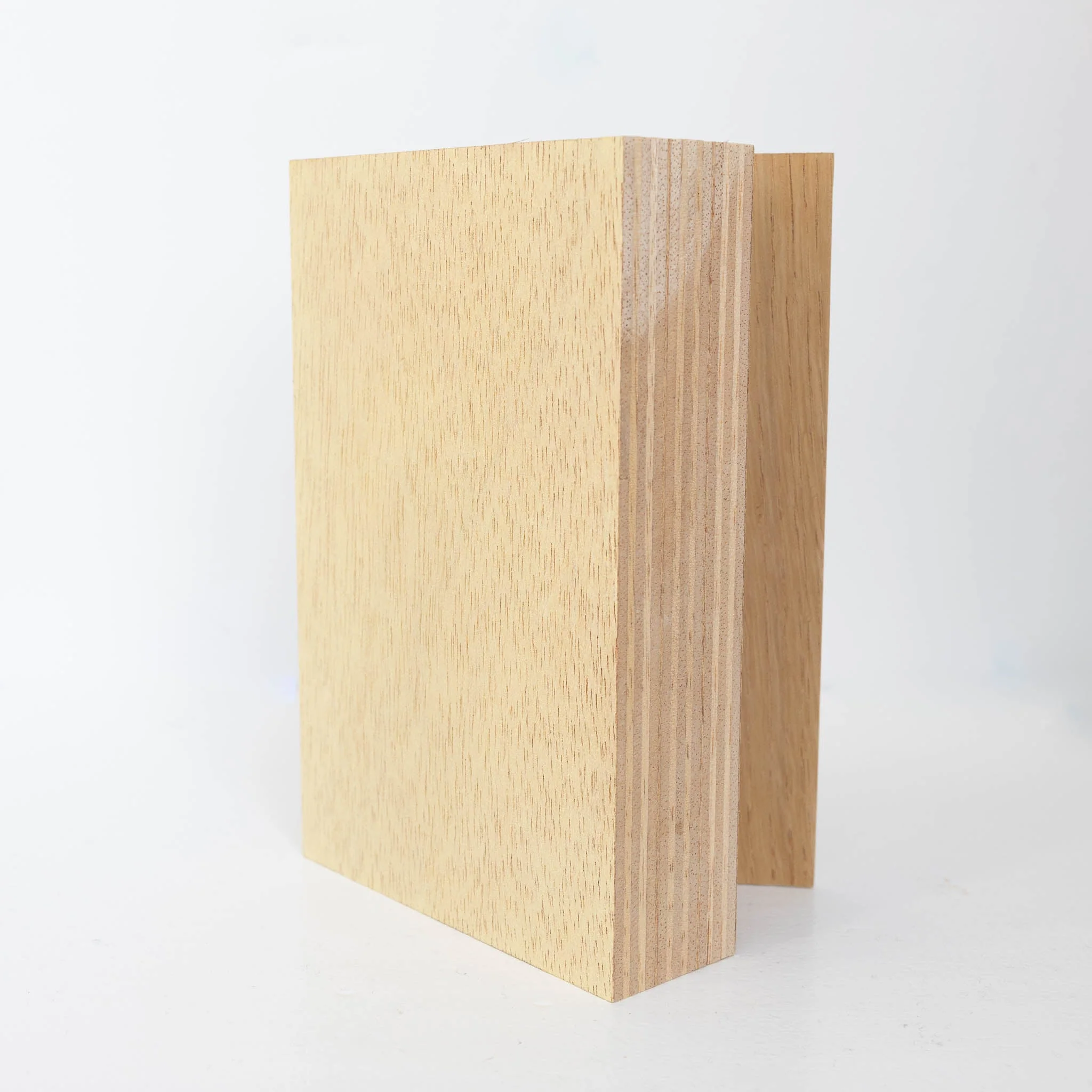 #44 - Wooden Book #3 (All Around You, 2024) by Mitsuru Koga - Image 3