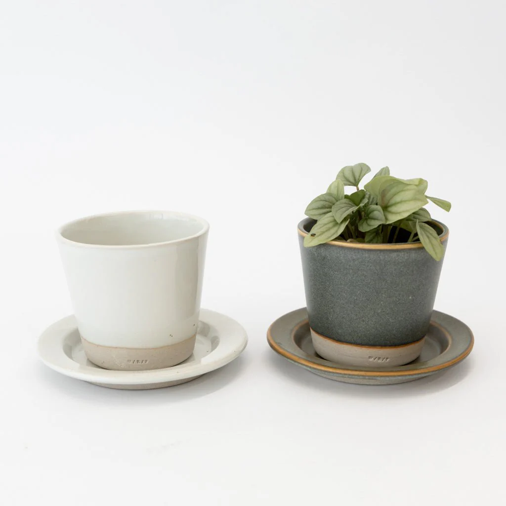 WRF Small Planter & Saucer Set - Image 4