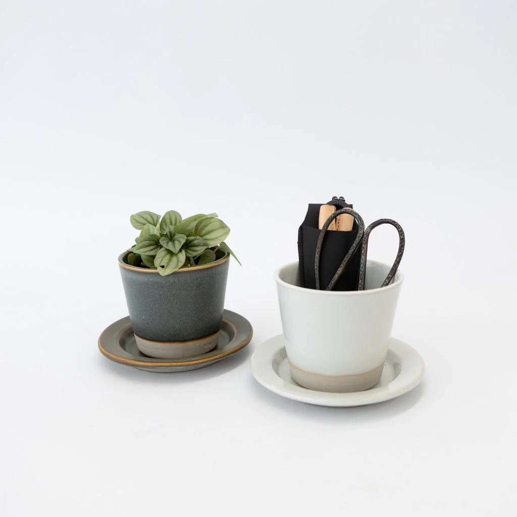 WRF Small Planter & Saucer Set - Image 5